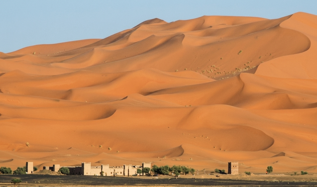 Traditional earthen kasbah buildings and green desert trees situated at the base of the massive, sweeping orange sand dunes of Erg Chebbi in Merzouga, Morocco, under a clear blue sky.